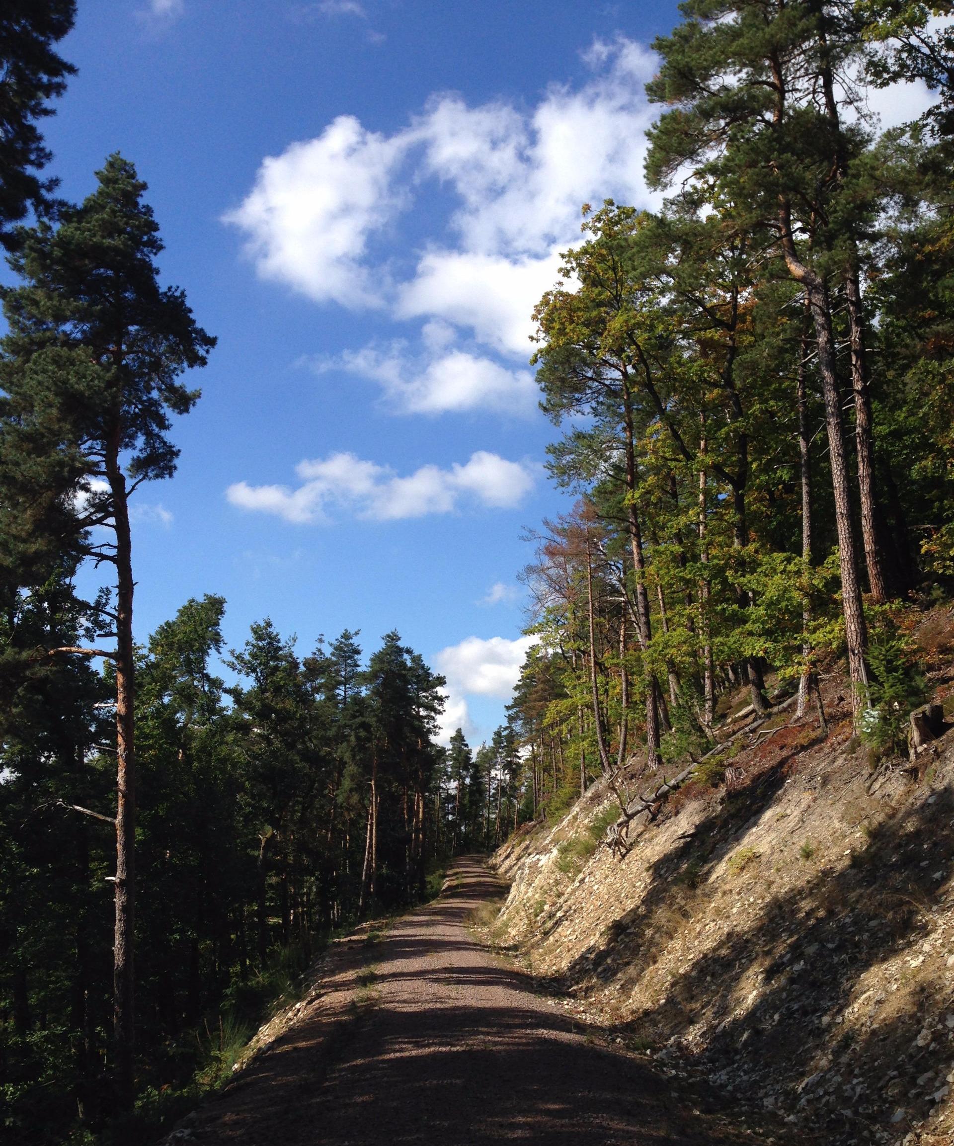 Zeller Hinterland