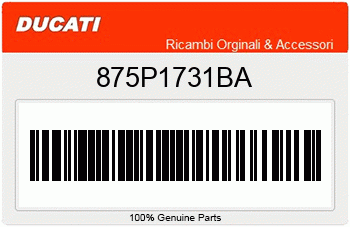 Ducati LENKERHALFTEROHR LINK, Ducati-Teilenummer 875P1731BA