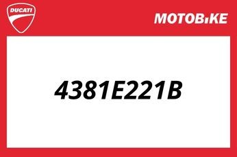 Ducati Schriftzug Aufkleber