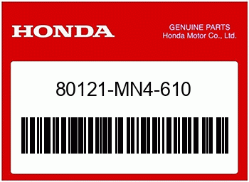 Honda SCHMUTZFAENGER, H. FENDER, Honda-Teilenummer 80121MN4610
