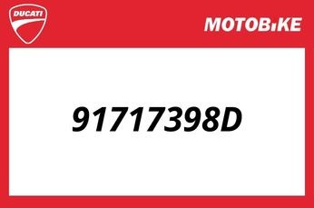 Ducati Wartungs‑/Pflege‑Poster