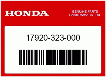 Honda, Gaszug