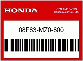 Honda Kühlerdeckel Chrome GL1500C F6C Valkyrie